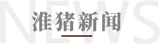 淮豬新聞