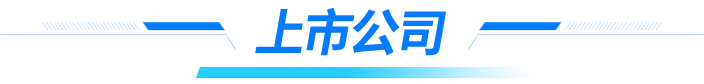 上市公司