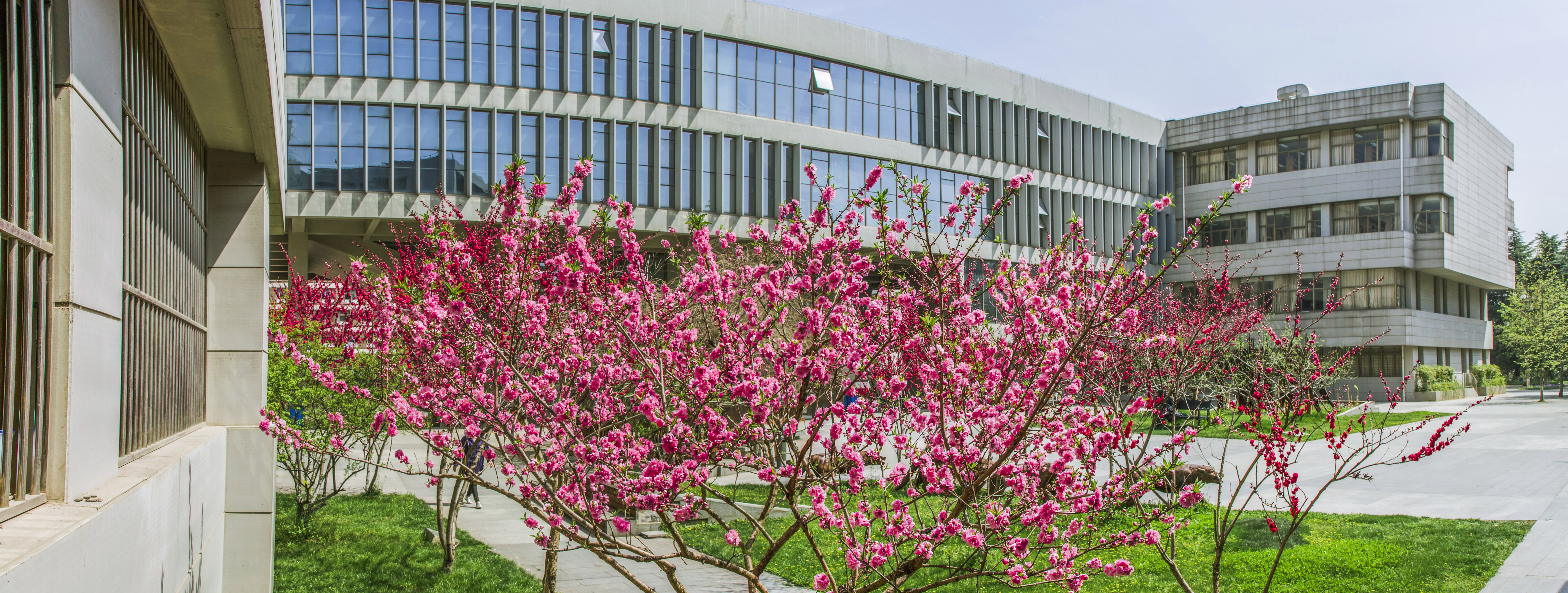 新華網：2021年，南京藝術學院入選江蘇省高水平大學建設行列。圍繞高水平大學建設和學校事業高質量發展，南藝如何發揮學科特色，主動適應數字化時代發展要求，積極探索，不斷創新，開創高等藝術教育的新局面？