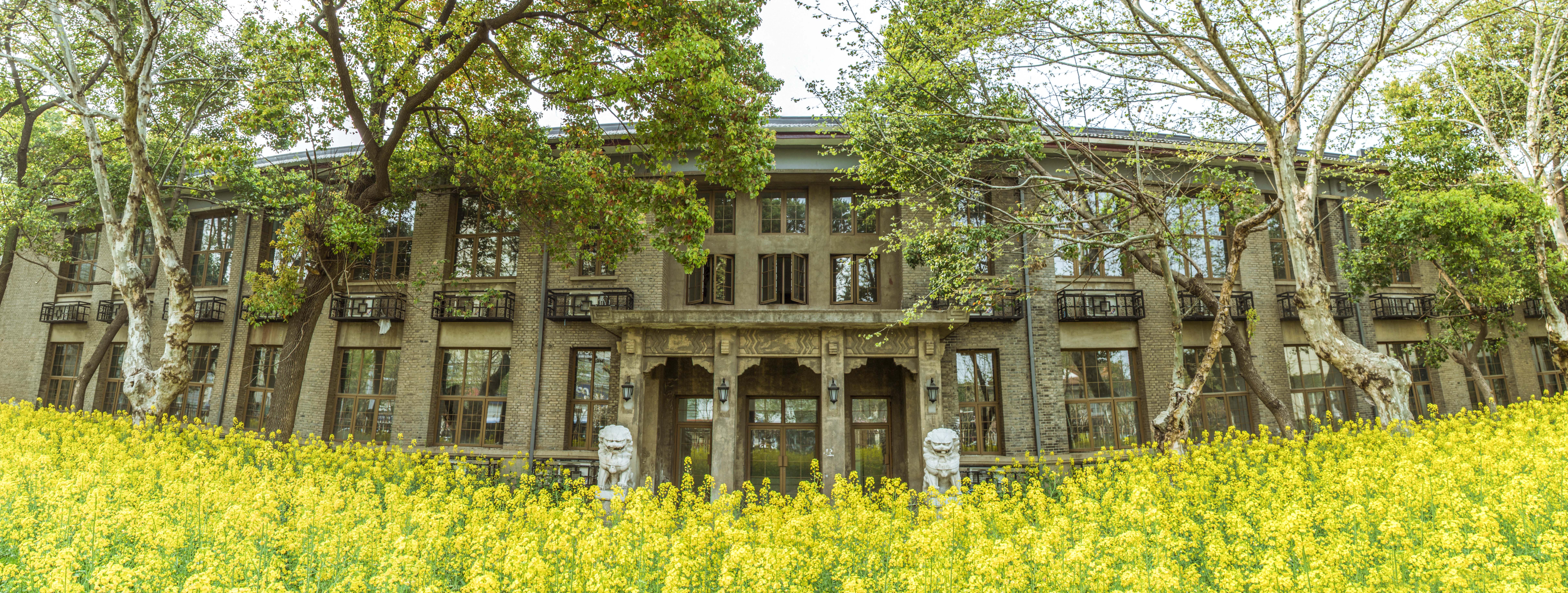 新華網：南京藝術學院即將迎來110周年校慶?；赝偈畾q月，您如何看待南藝的創立發展歷程以及在中國藝術高等教育史上的作用和地位？