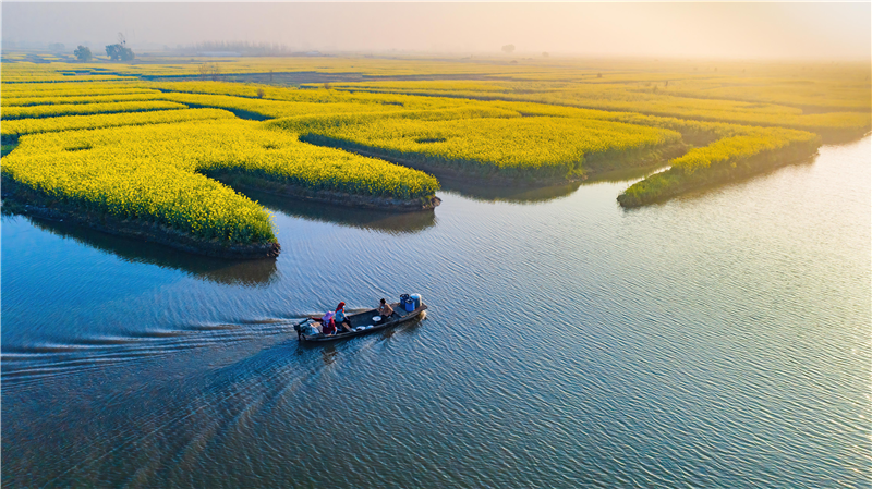 魅力水鄉春景如畫