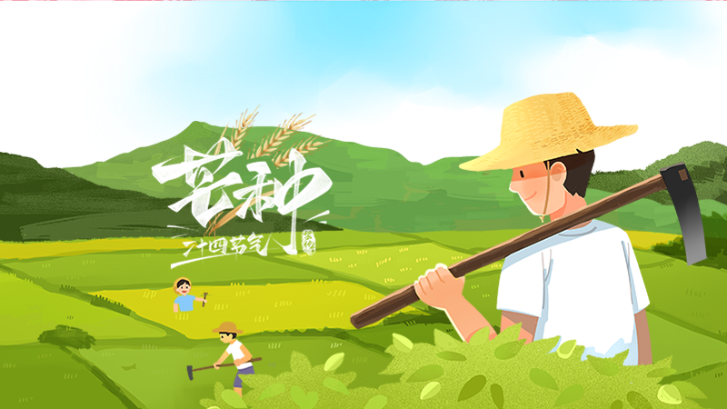 芒種，調陰陽，心不“忙”